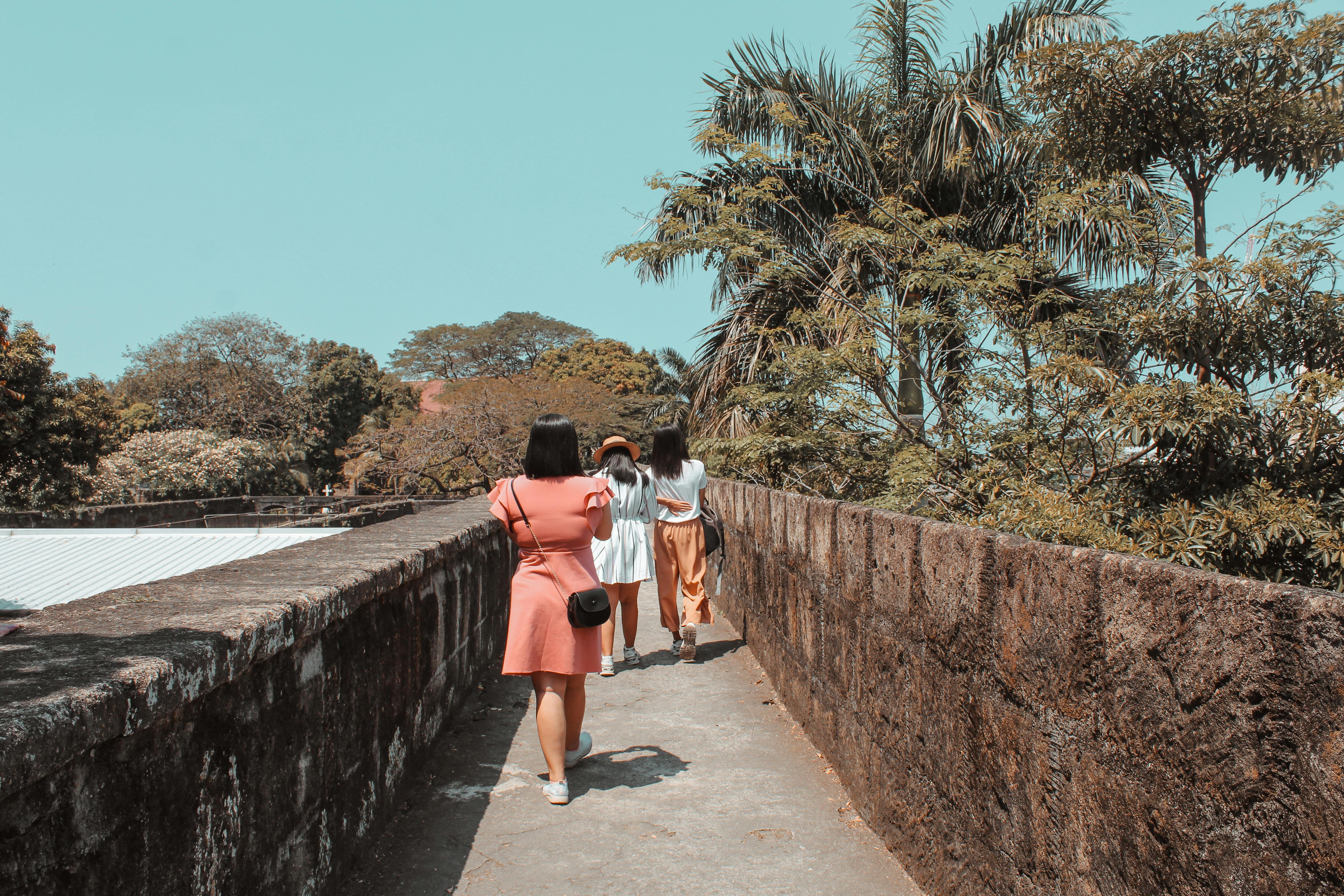 Ateneo de Manila University's Comments on the CHEd Draft PSG for General Education Courses — Photo by fae on Pexels
