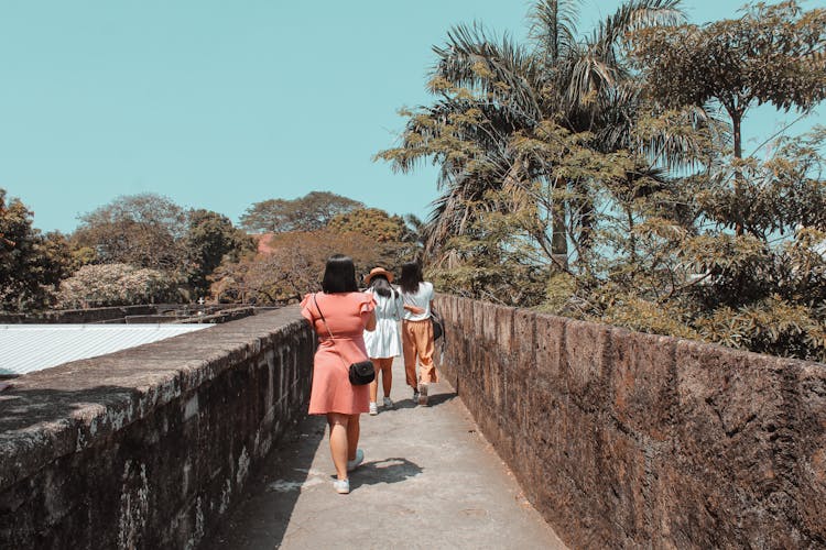 Unrecognizable Women Walking On Old Pathway Near Trees In Park