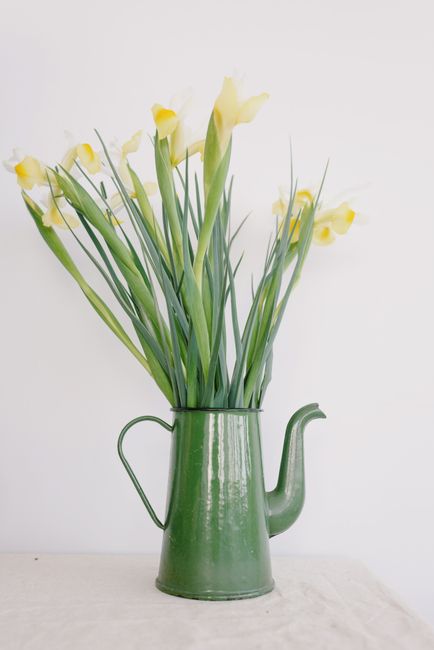 Blooming flower bouquet with tender yellow petals and long green leaves put in metal pitcher with spout on table near white wall