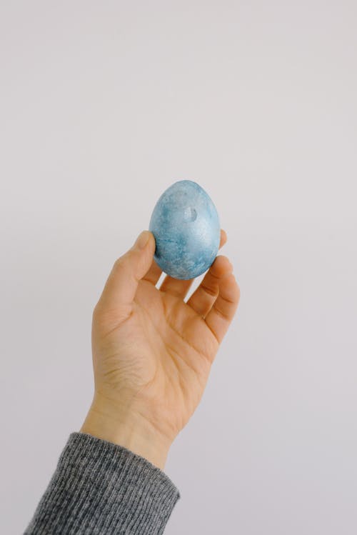 Photo Of Person Holding An Egg 