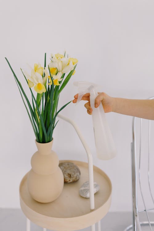 Crop woman watering flowers in vase at home