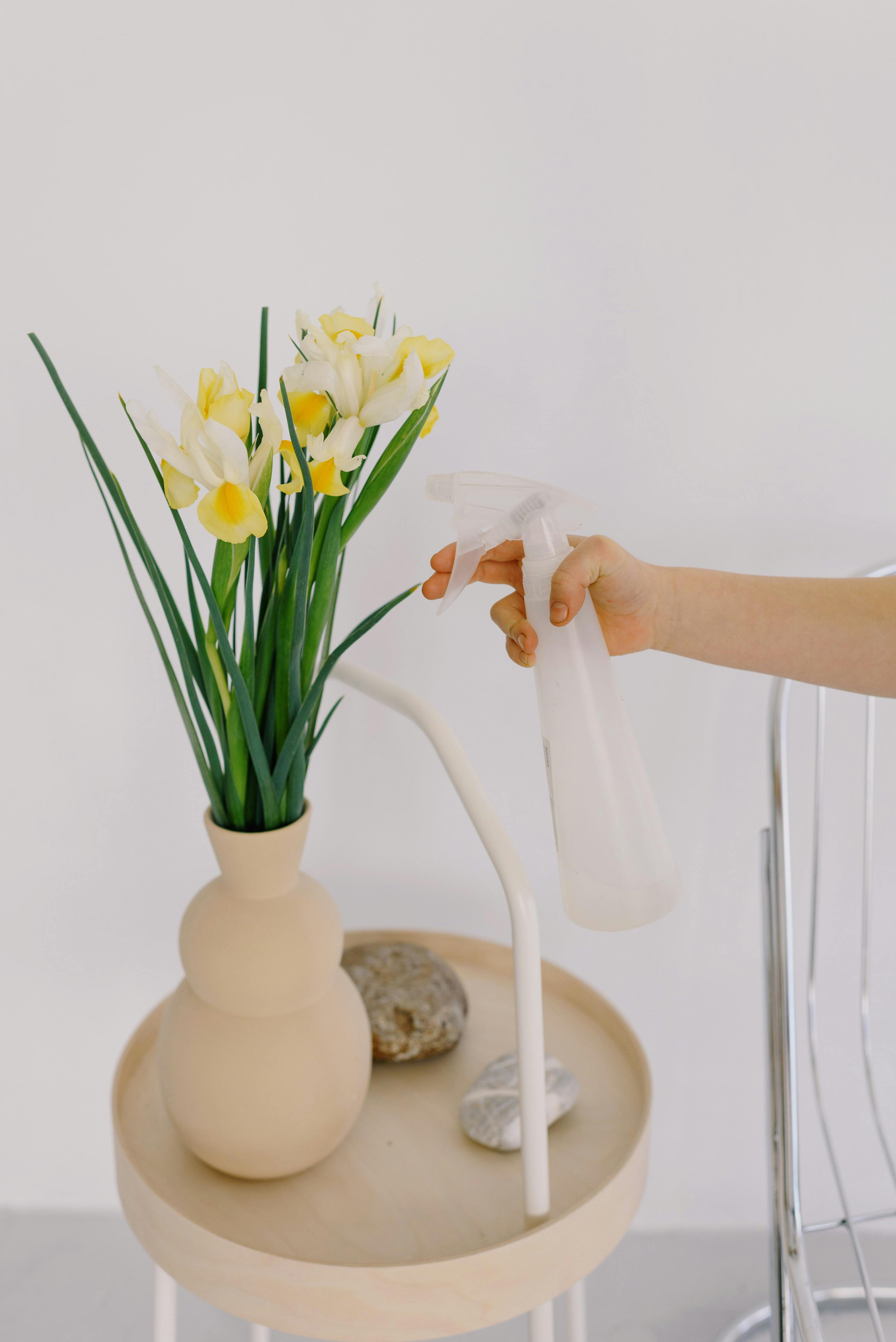 Crop woman watering flowers in vase at home · Free Stock Photo