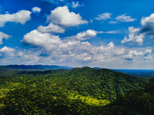 Бесплатное стоковое фото с гигантские горы, деревья, зеленые горы