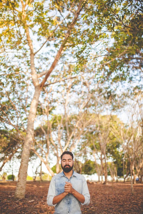 Foto d'estoc gratuïta de arbres, barba, espiritual