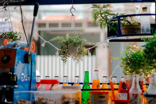 Small street shop with assorted refreshing drinks in transparent glass bottles near green potted plants with small leaves and hanging garland in front of building facade in town