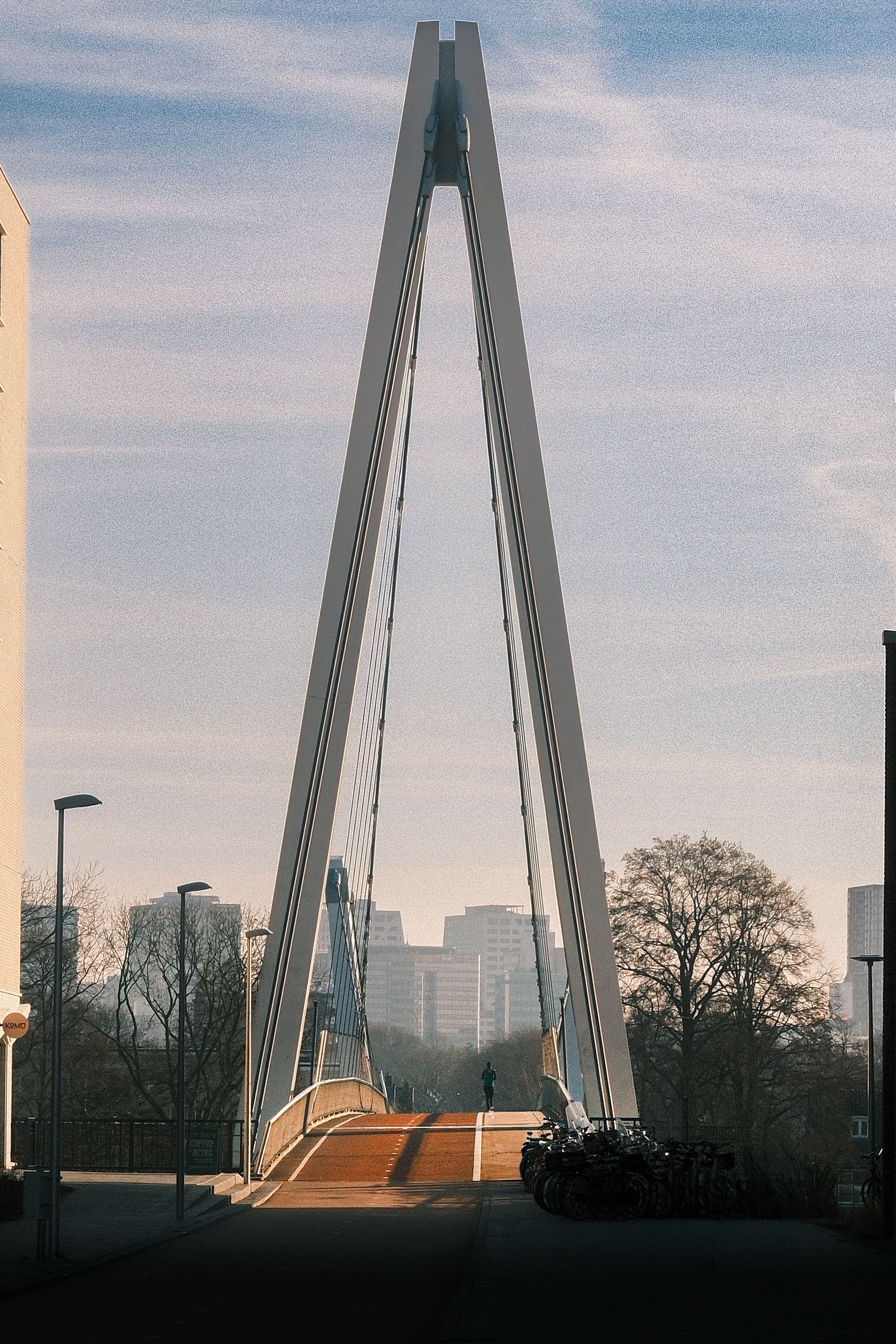 Modern Bridge with City Skyline in Background · Free Stock Photo