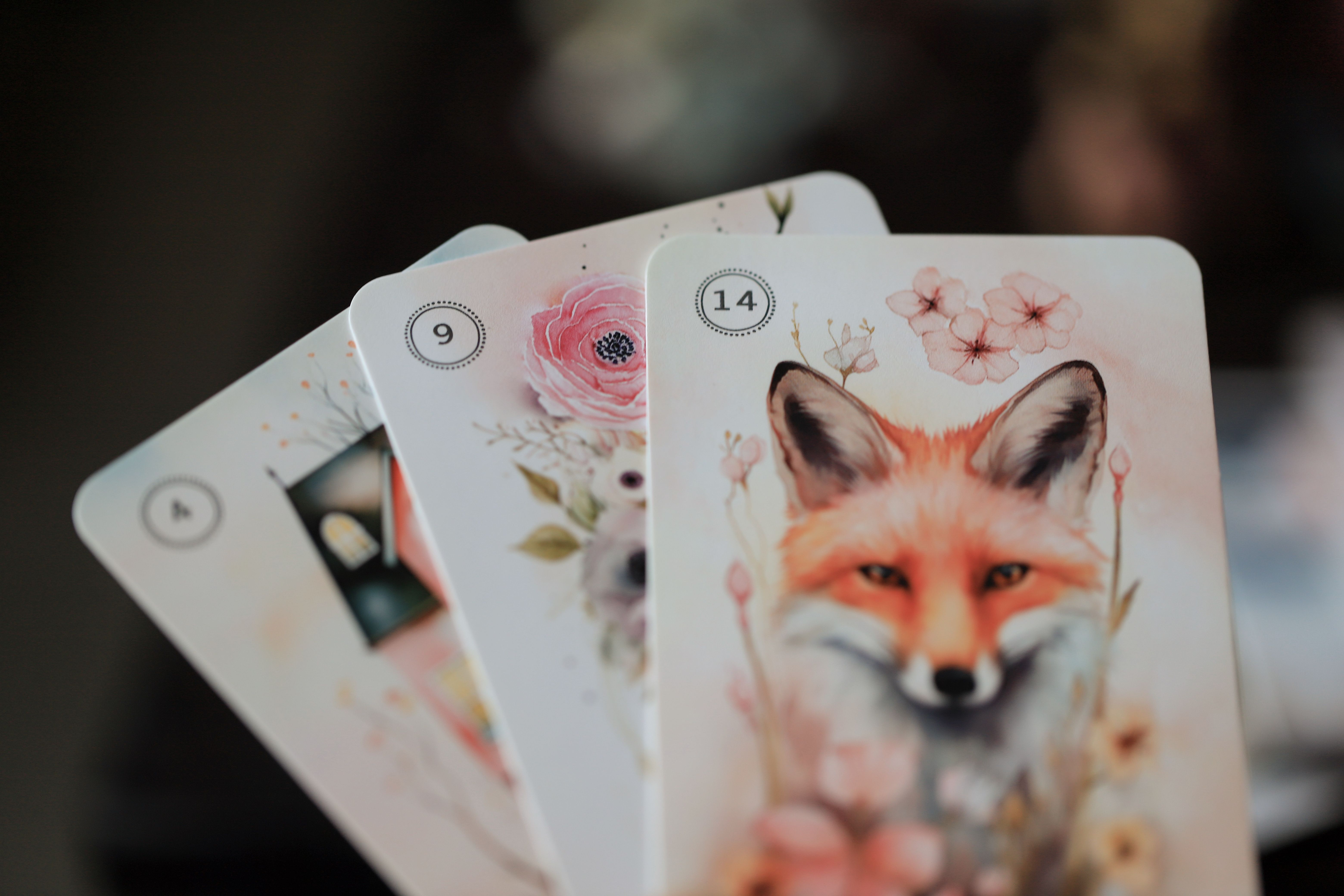 Artistic Card Layout Featuring Fox Image · Free Stock Photo