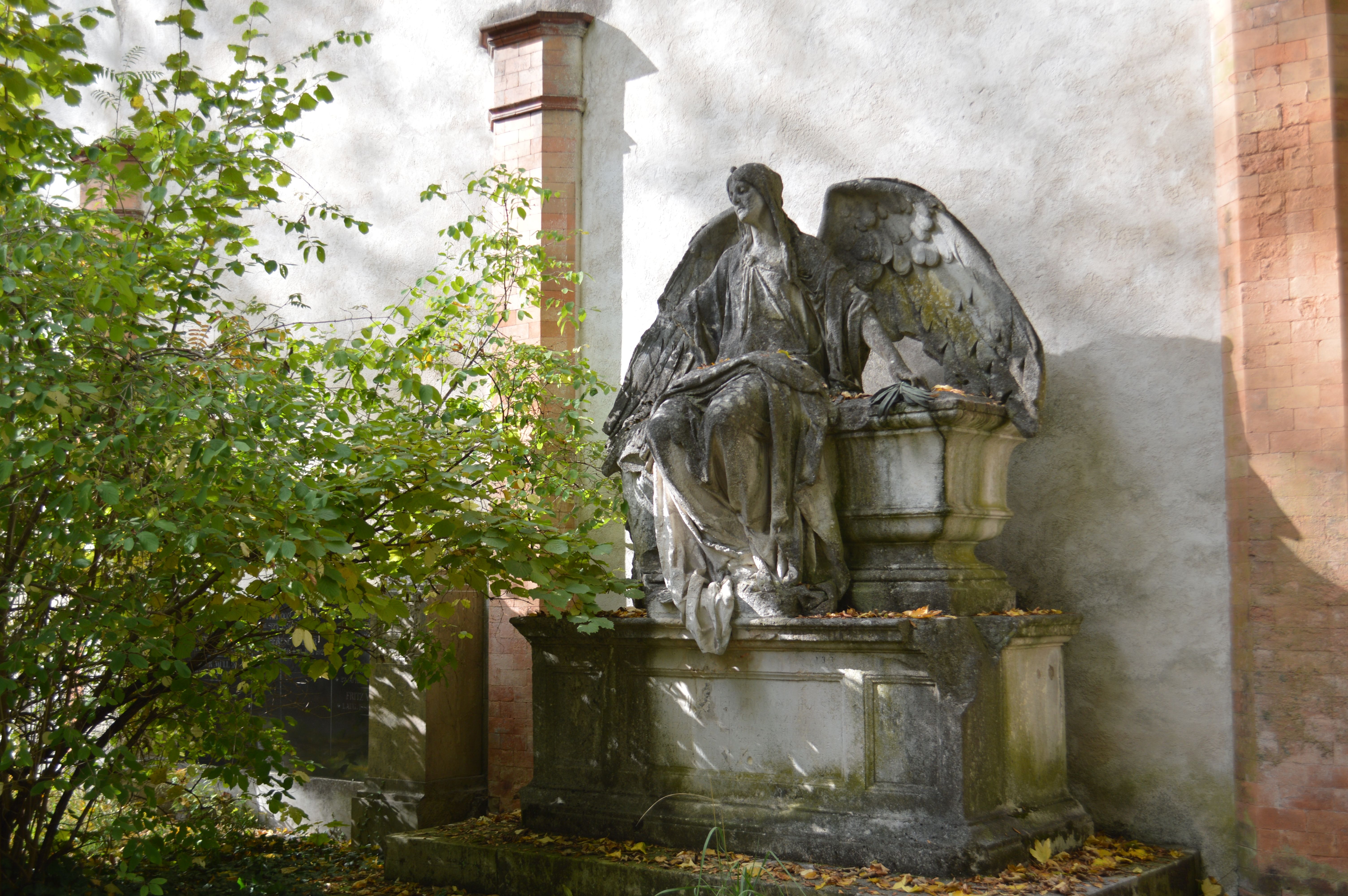 Elegant Angel Statue in Sunlit Garden · Free Stock Photo