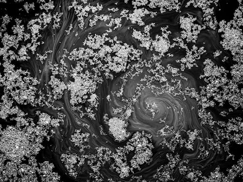 De franc Foto d'estoc gratuïta de abstracte, art, blanc i negre Foto d'estoc