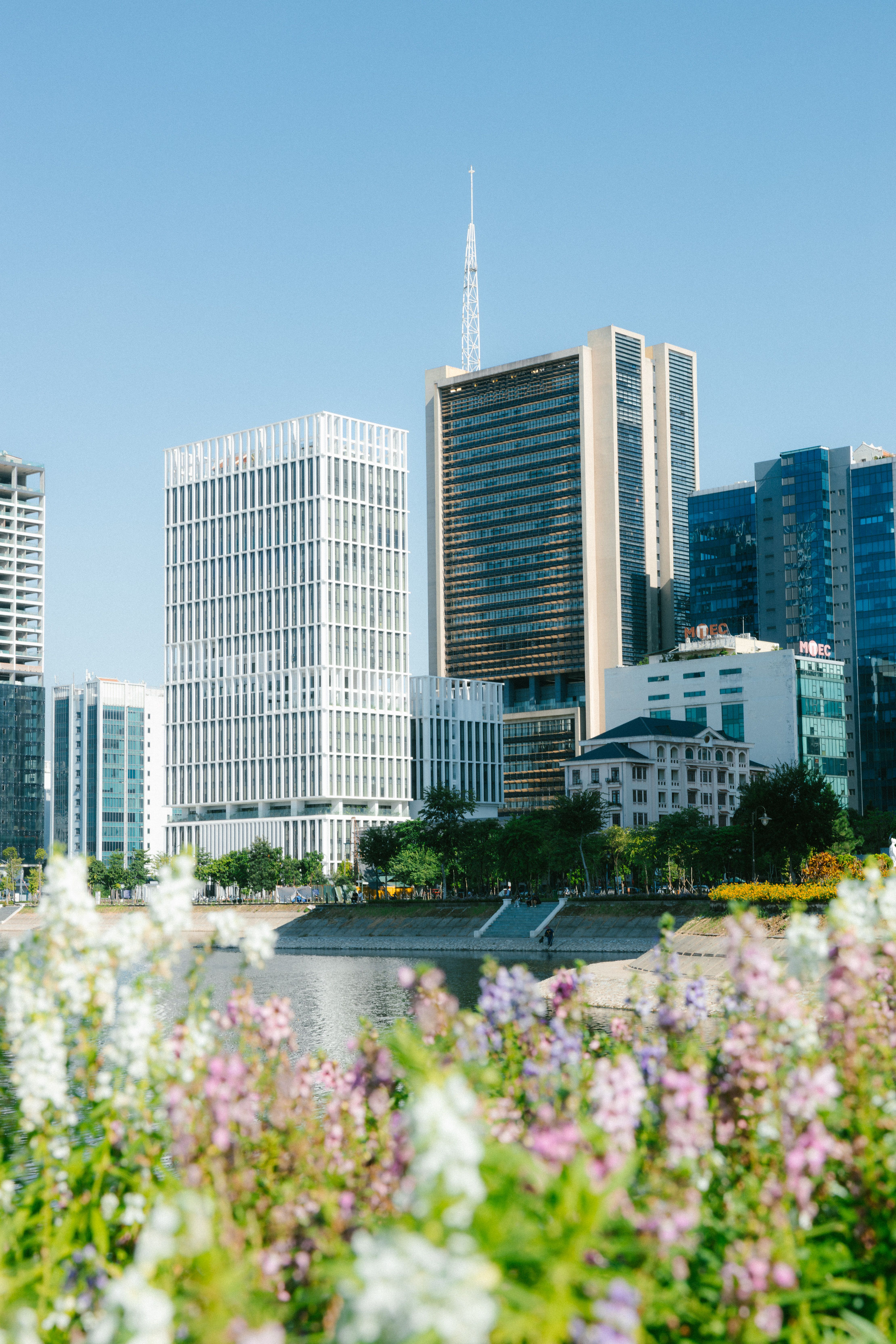 Modern Urban Skyline with Flowers in Foreground · Free Stock Photo