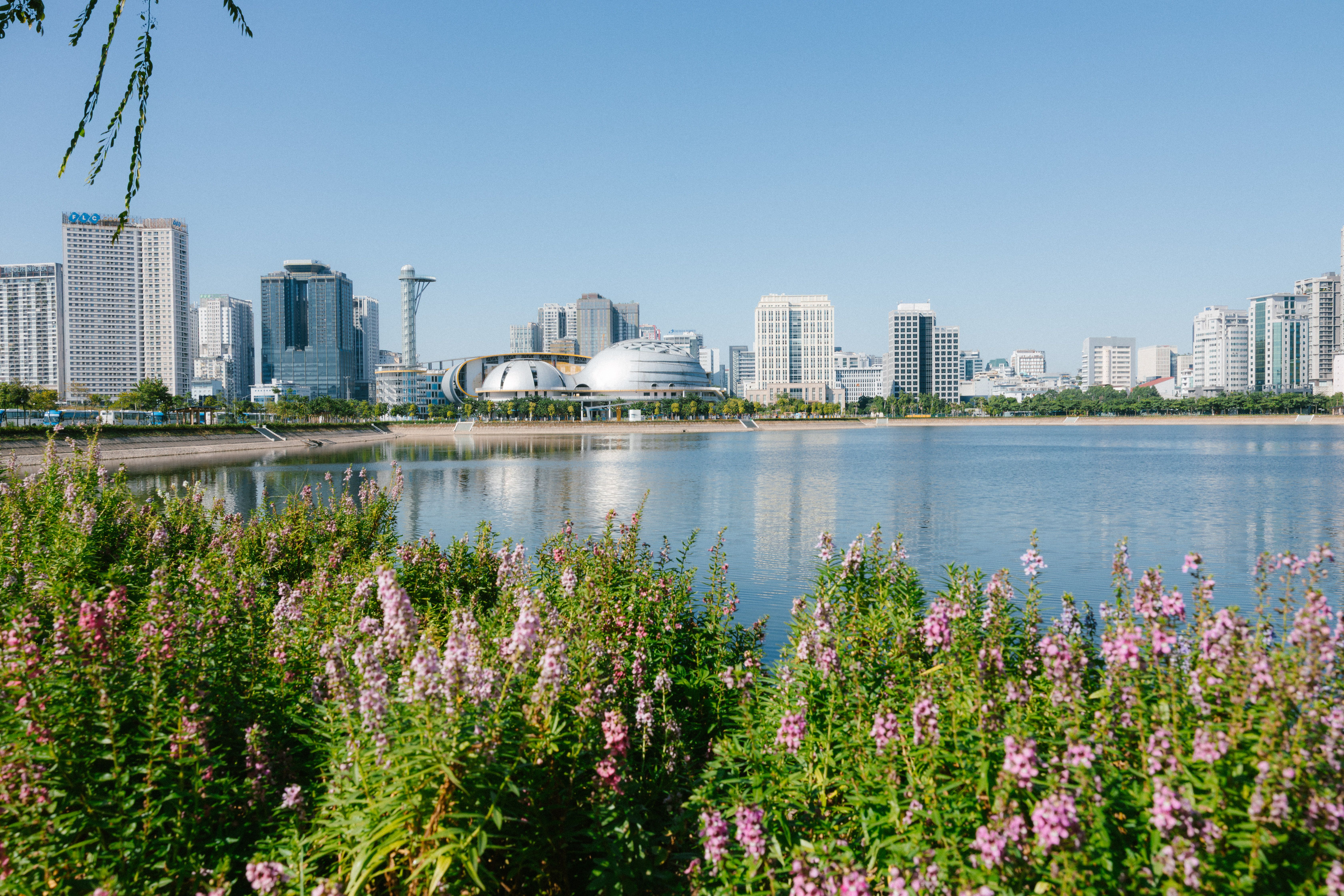 Modern City Skyline with River and Flowers · Free Stock Photo