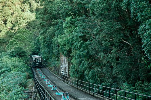 A picturesque train journey amidst lush green forest on a mountain track, offering a serene escape.