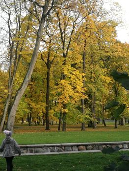 Tranquil autumn park scene with golden leaves and a solitary figure, capturing the beauty of fall.