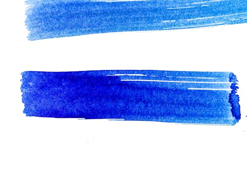 Blue Brush Print on White
