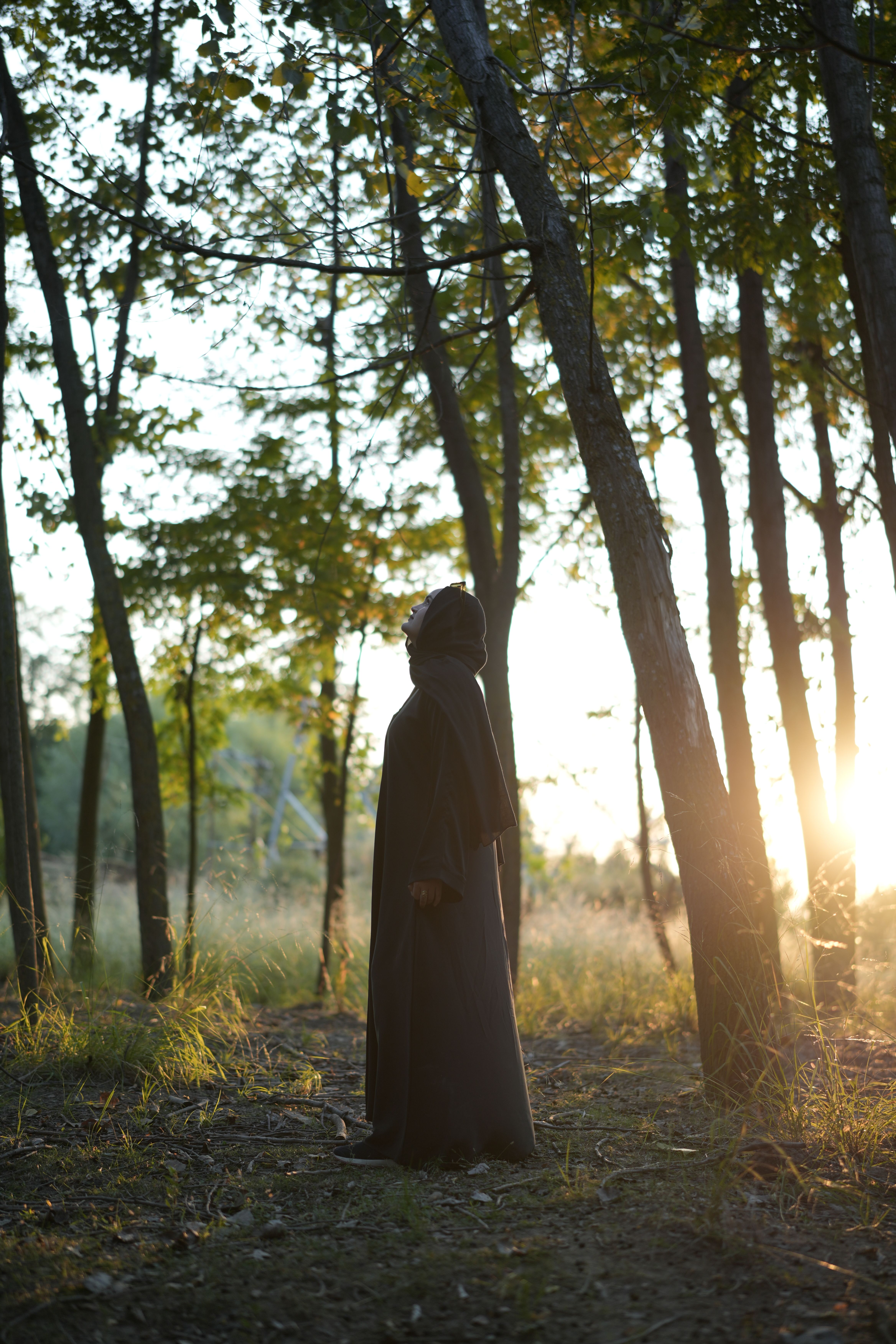 Silhouette of Figure in Mysterious Forest at Sunset · Free Stock Photo