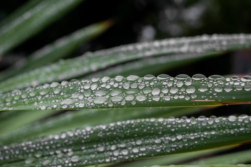 Foto profissional grátis de água, bokeh, borrão