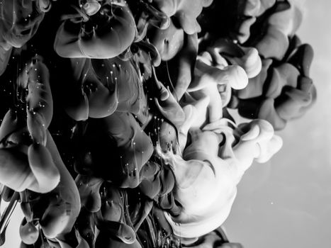 Captivating black and white abstract ink shapes swirling in liquid motion.