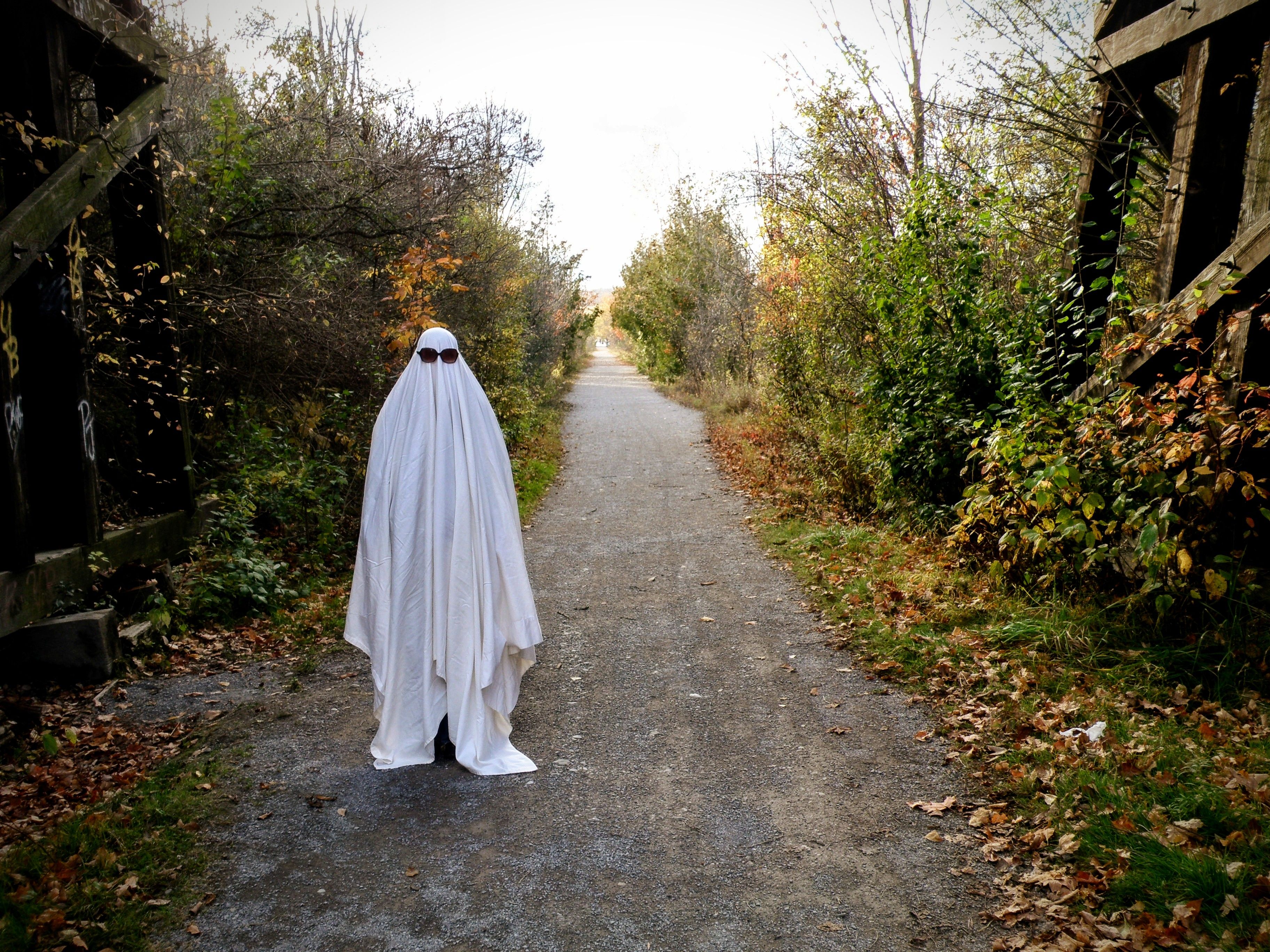 Ghost Costume in Autumn Forest Pathway · Free Stock Photo