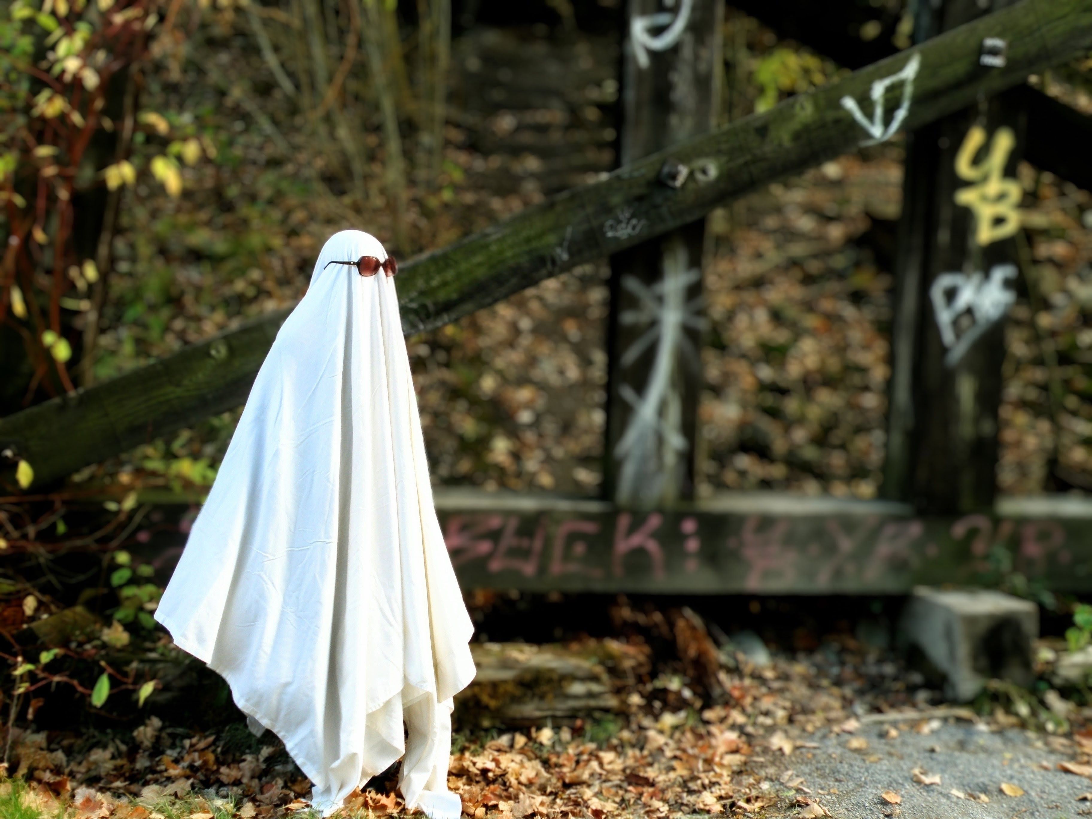 Spooky Ghost Costume in Forest with Graffiti · Free Stock Photo