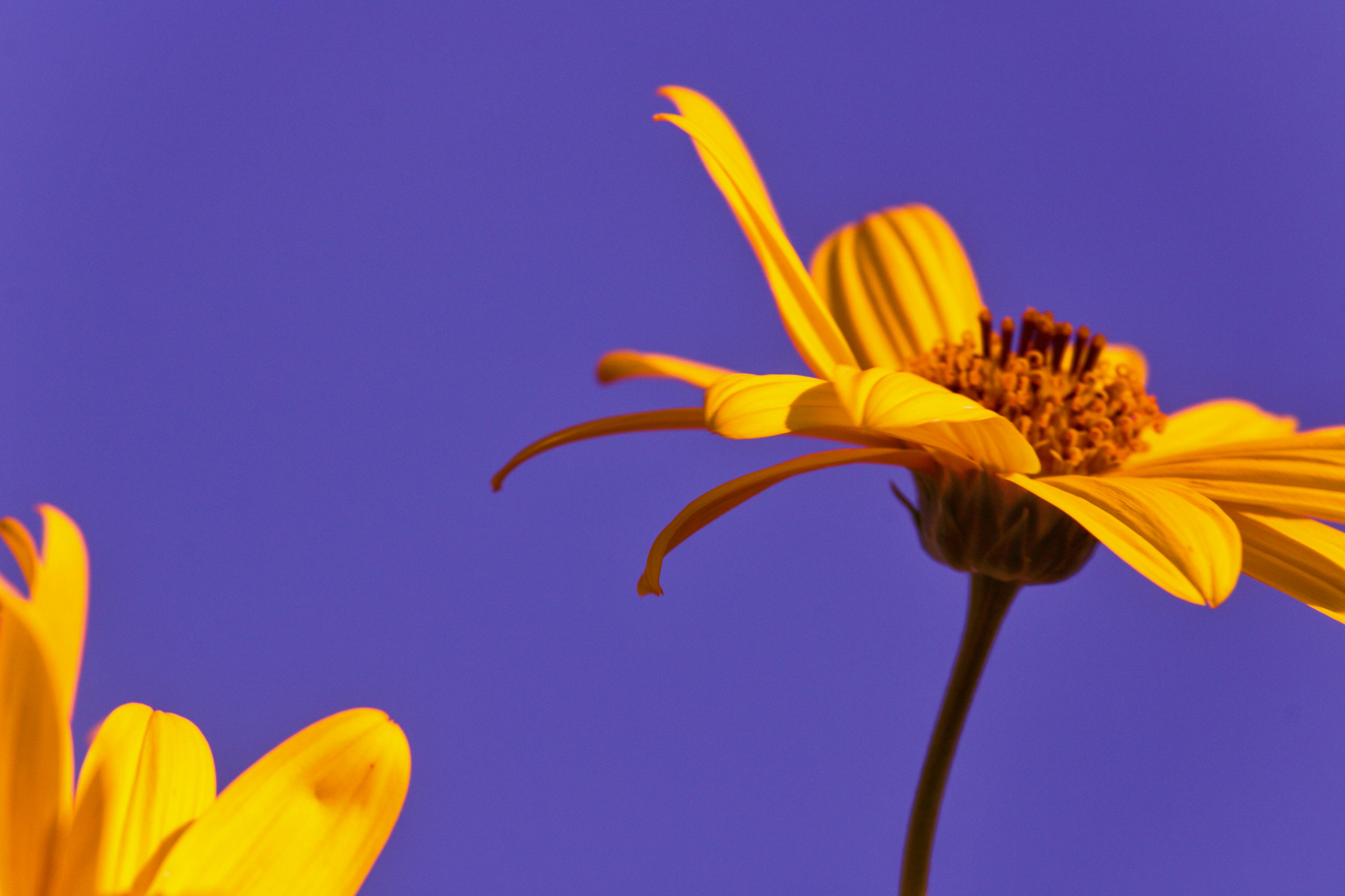 Ramazan Ayında Sağlıklı ve Dengeli Beslenme Rehberi: Oruç Tutarken Nelere Dikkat Etmeli?