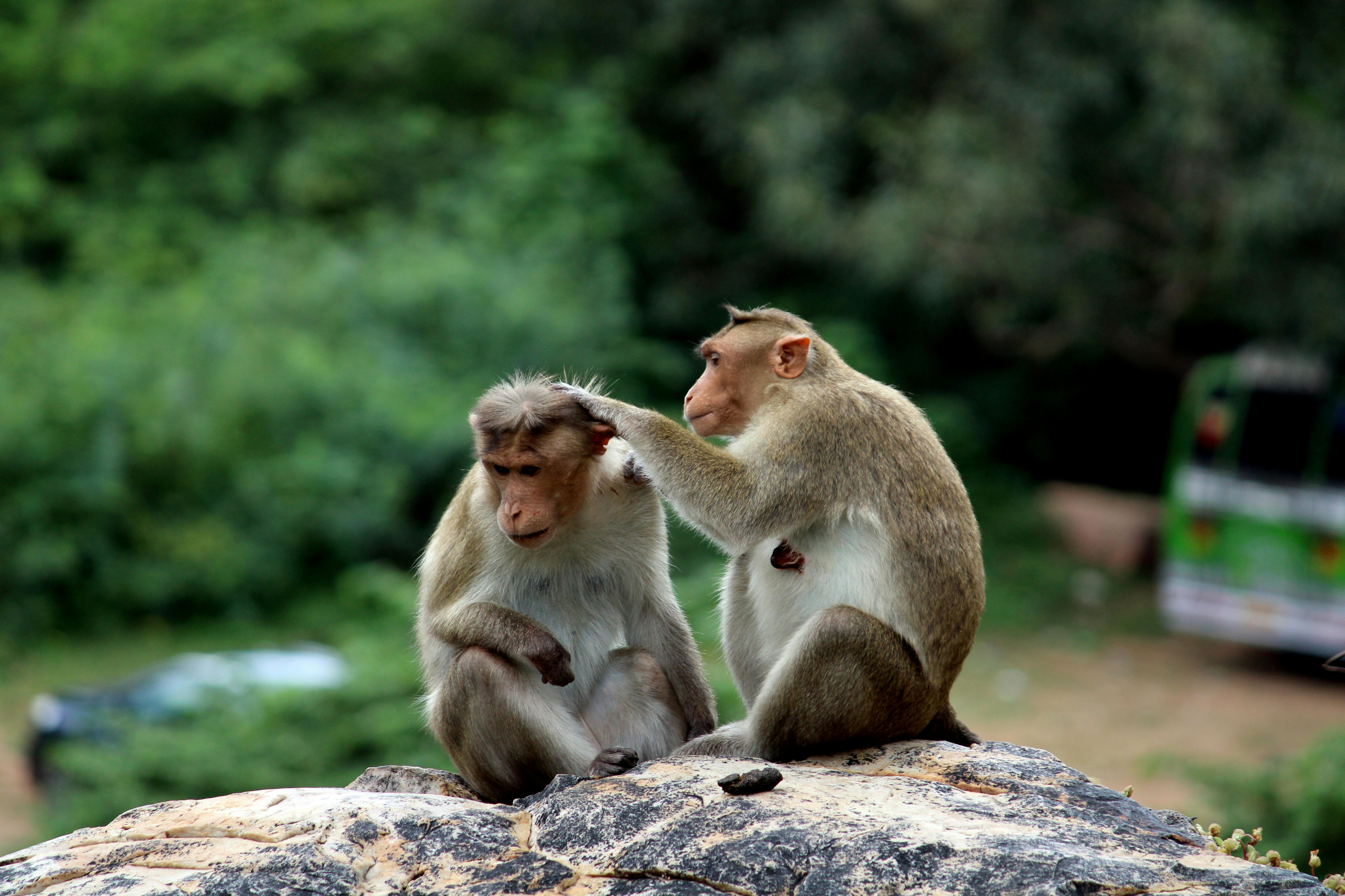 Eine Auswahl an Zero-Waste-Produkten wie Bambuszahnbürsten, feste Seife und wiederverwendbare Beutel.