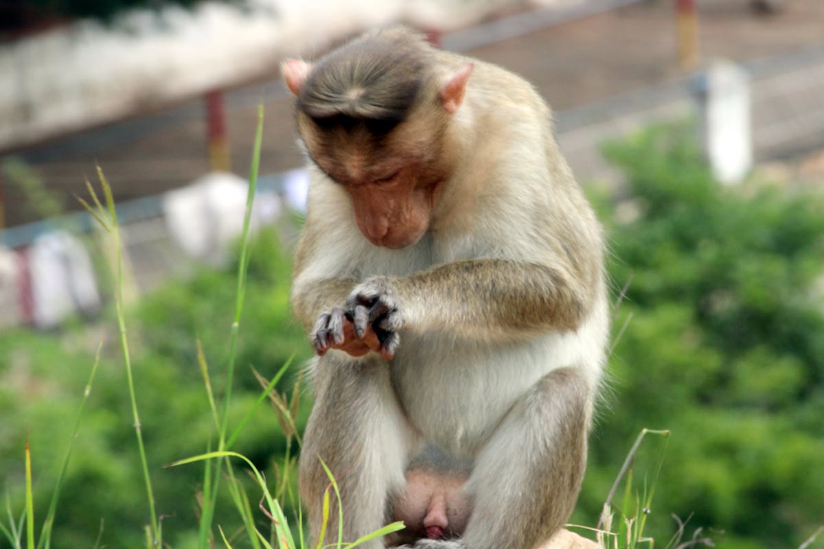 A person stirring oats, yogurt, and fruit together in a glass jar for overnight oats.