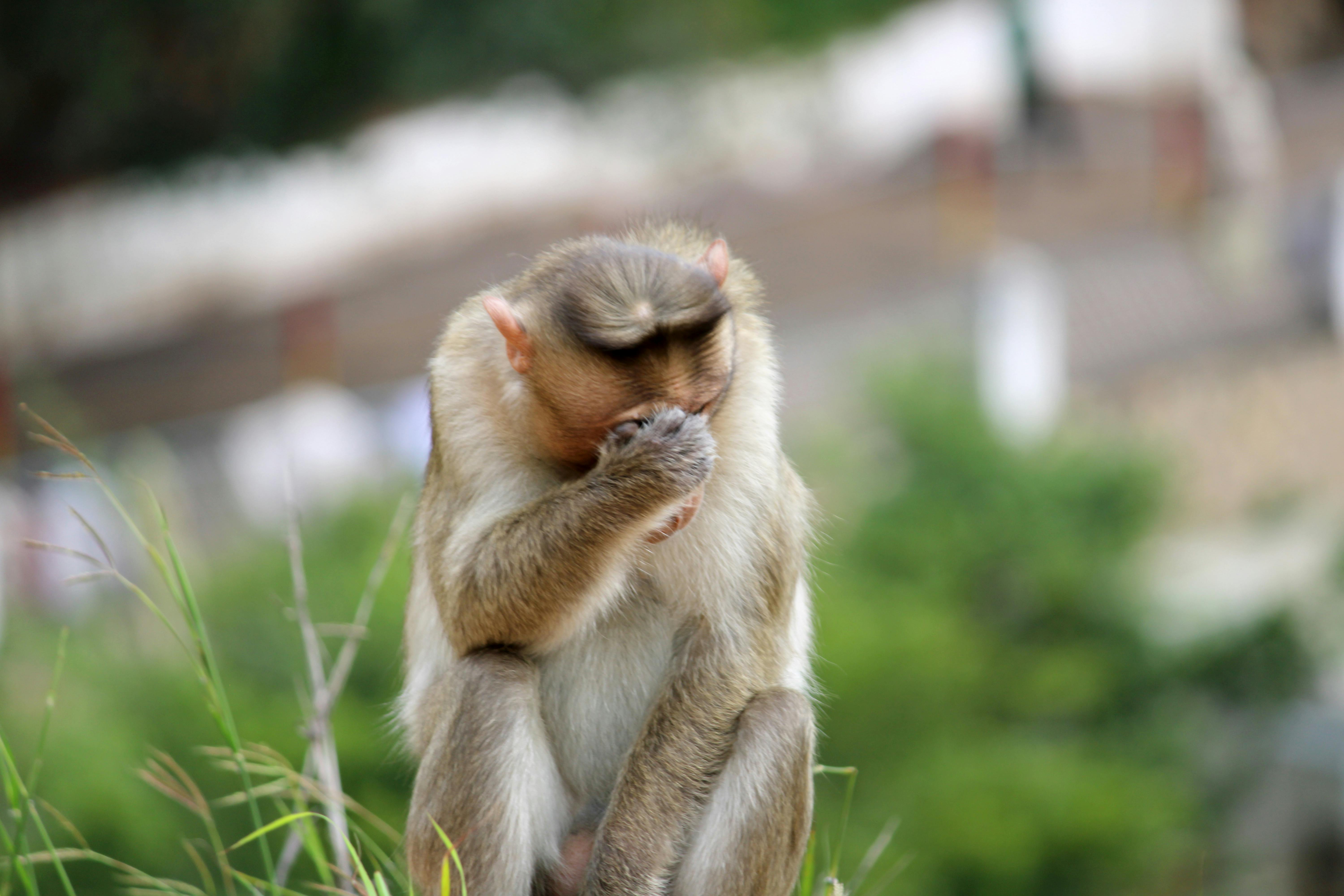 Elegantie & Beenmode winkel