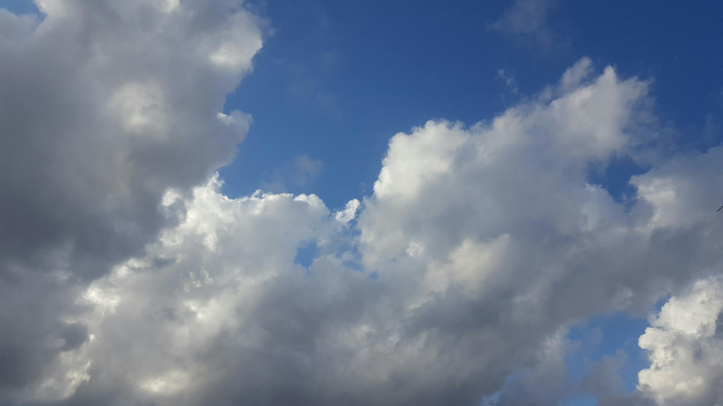 Person mit wiederverwendbarem Kaffeebecher und Stofftasche