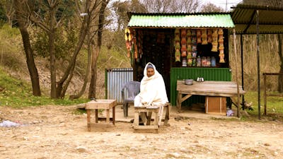 Erros comuns na inseminação em casa