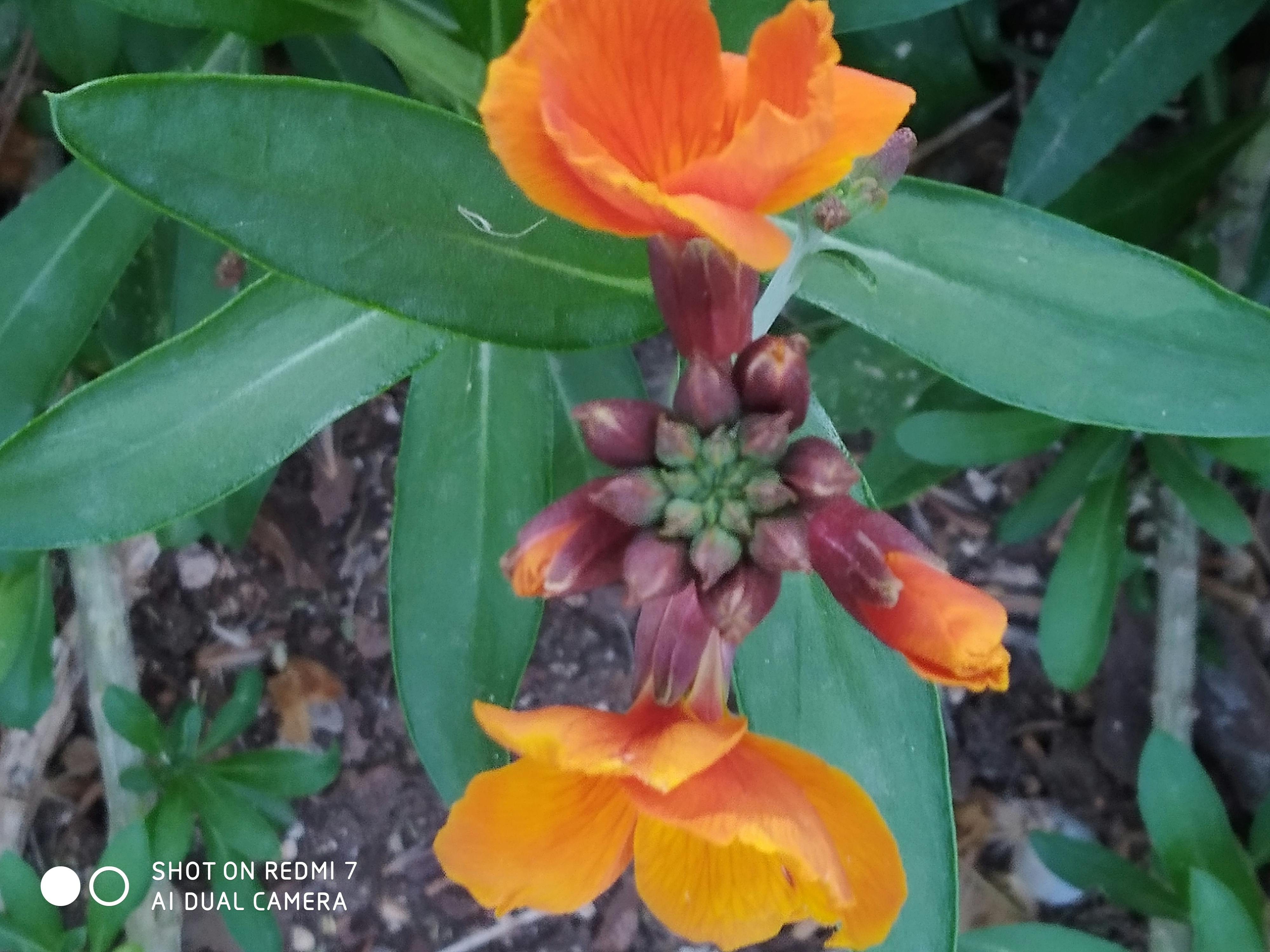 SNS에서 벗어나 생각하는 사람