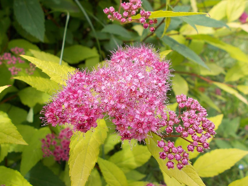 Person reviewing email open rate analytics on a laptop