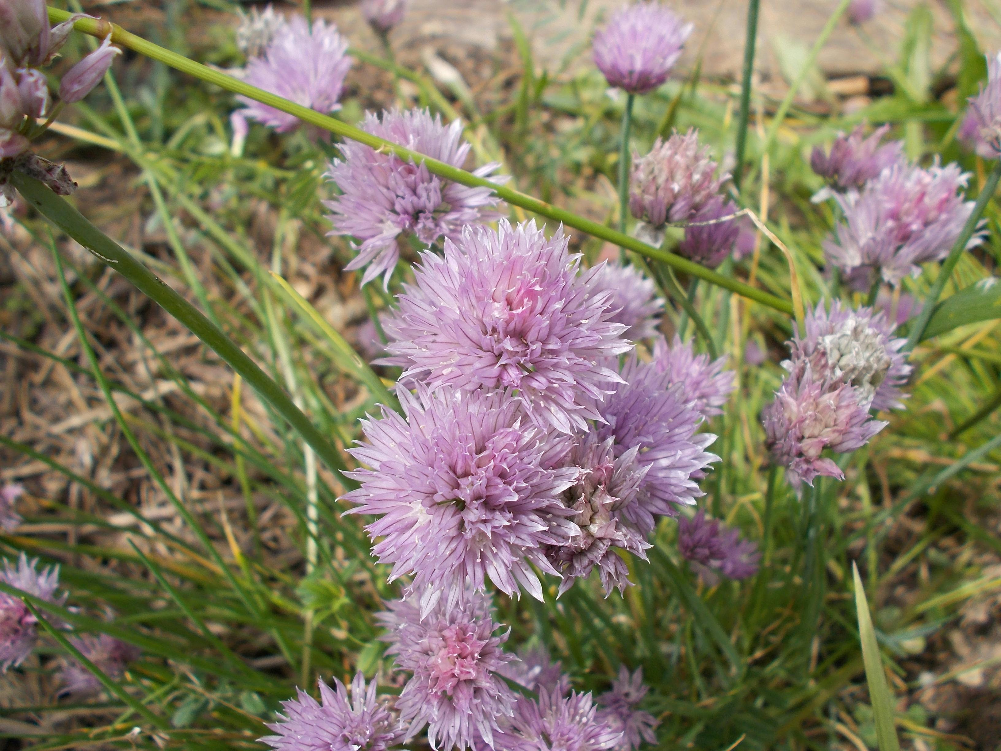 Personne faisant des exercices de renforcement musculaire pour les jambes et le tronc.