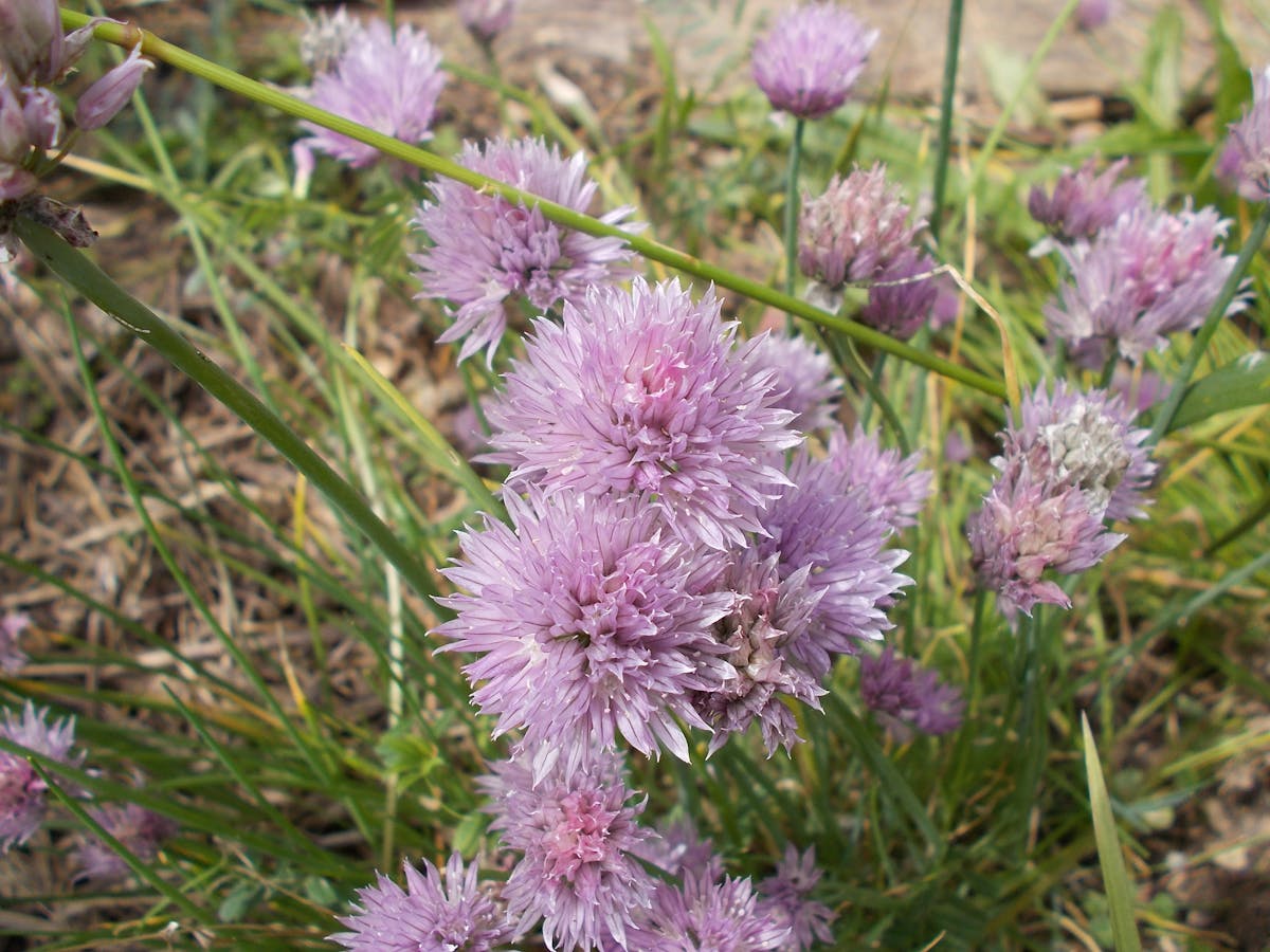 Top-down view of a tidy breakfast setup with coffee and toast on a white table