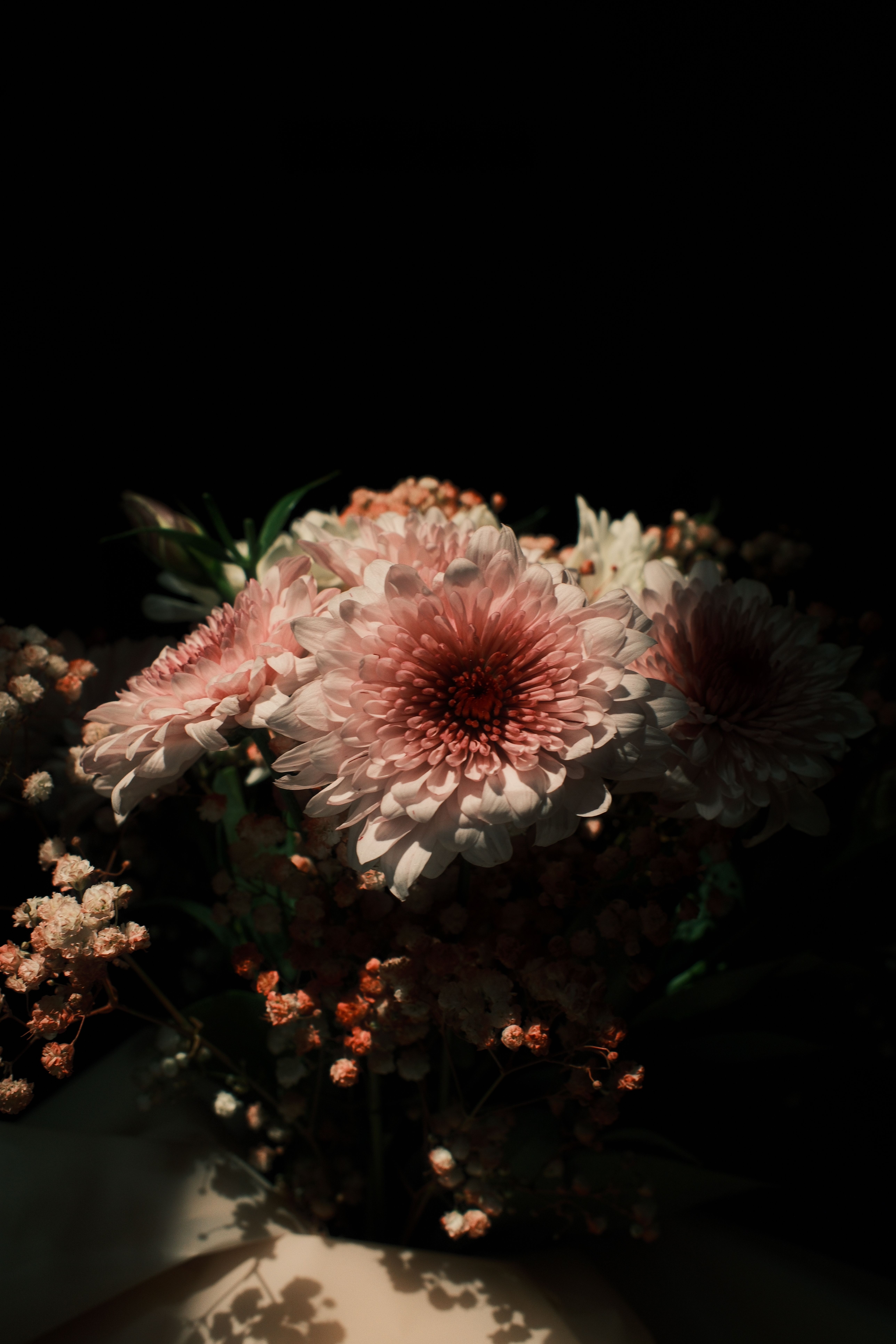 Charming Chrysanthemum Bouquet in Soft Light · Free Stock Photo