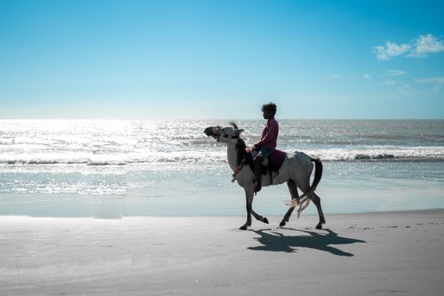 Free Man riding a horse along a sunlit beach, capturing the essence of adventure and freedom. Stock Photo