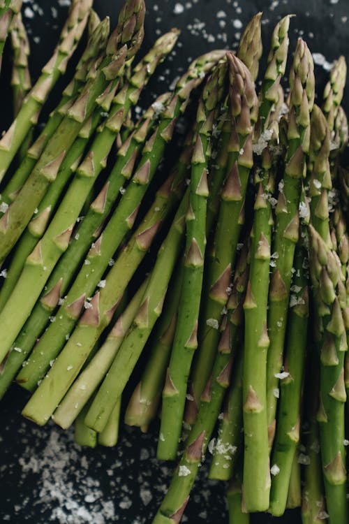 Foto stok gratis agrikultura, asparagus, bahan