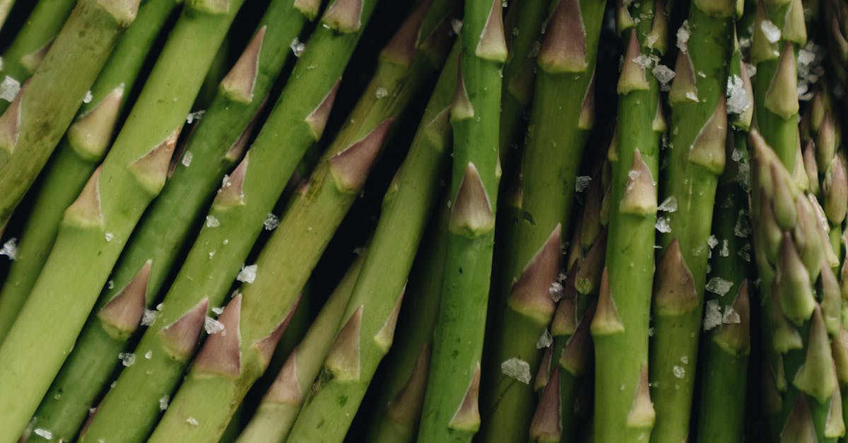 How to grow bamboo shoots