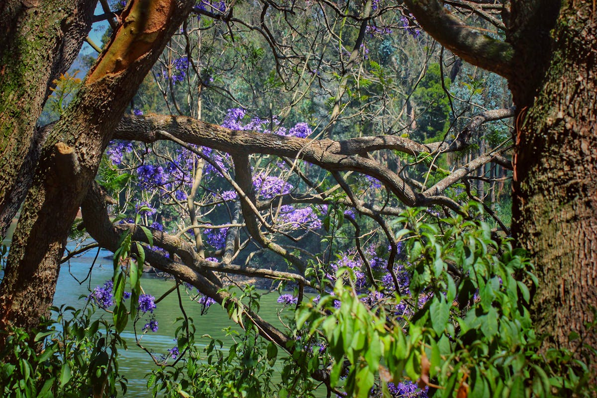 Selection of small plates with hummus, vegetables, olives and breads in a Mediterranean style spread