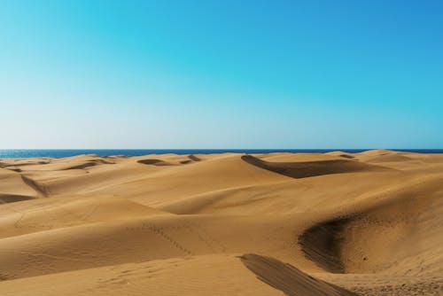 Foto stok gratis alam, bukit pasir, cerah