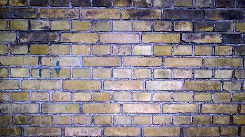 Free stock photo of brick wall Stock Photo