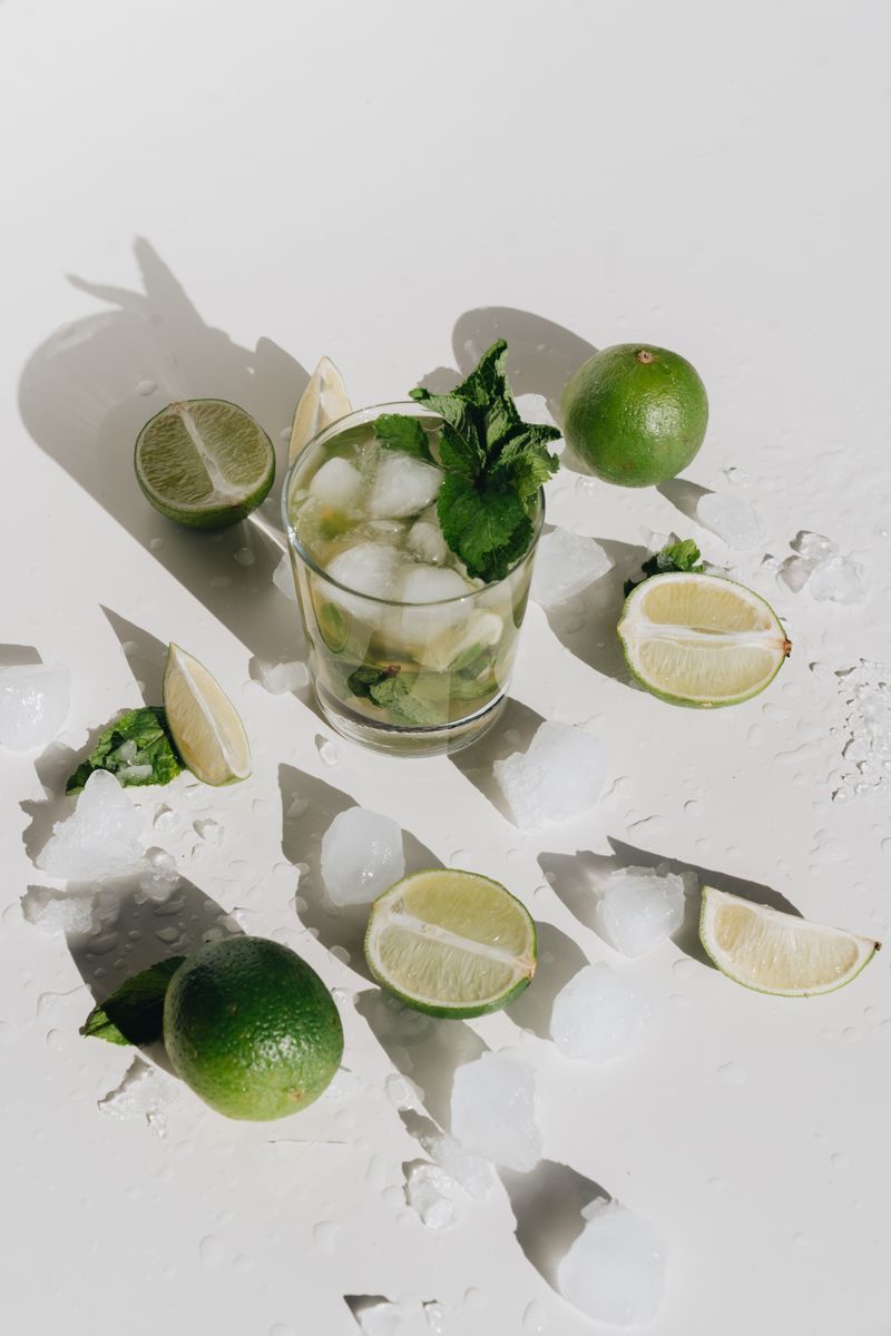 Fresh Mojito Coolers
