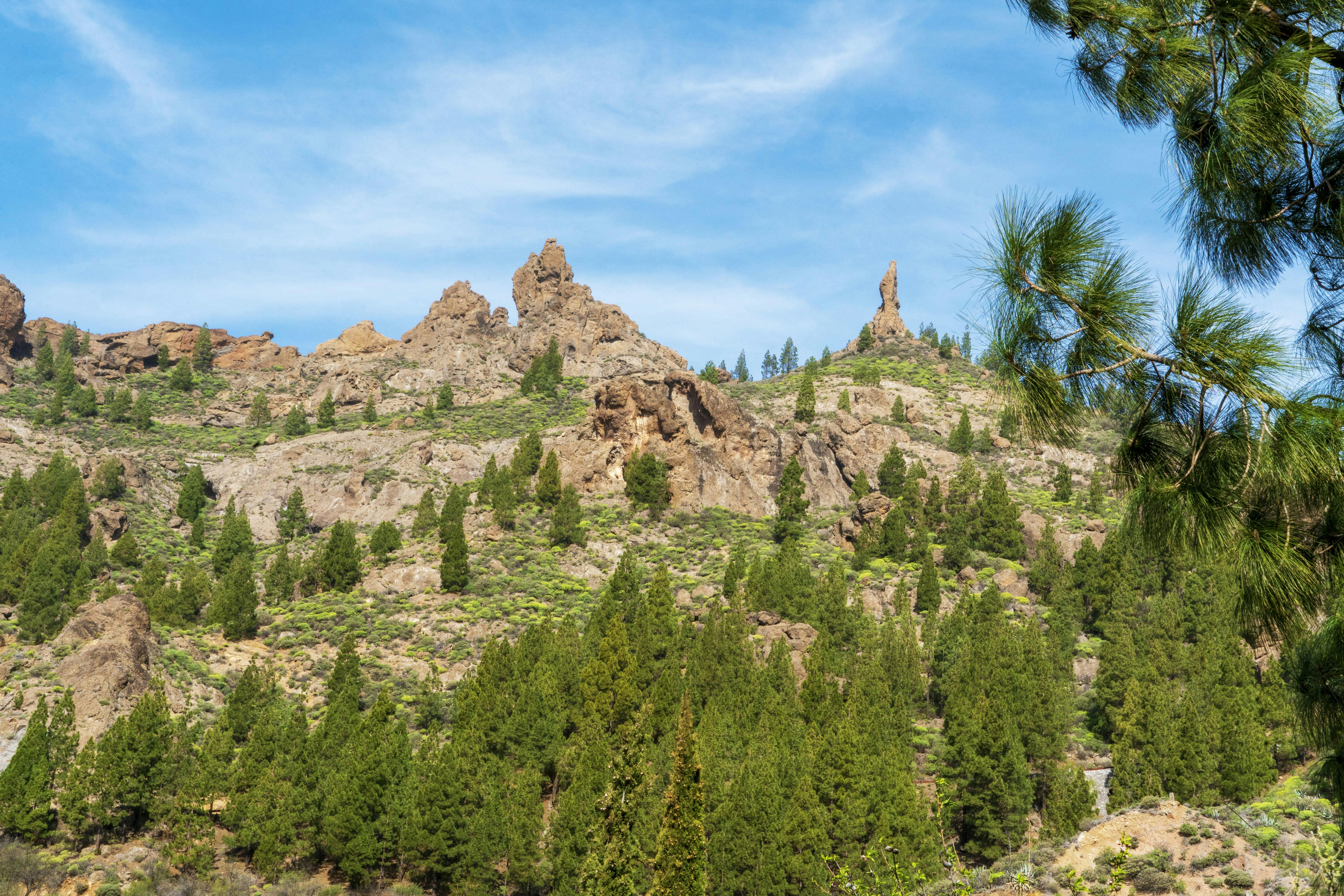 Green Trees and Rock Formations on a Mountain · Free Stock Photo