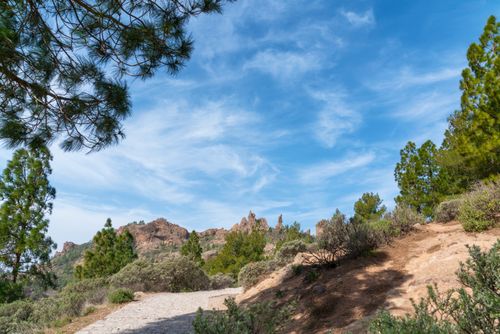 Free Beautiful landscape of Gran Canaria with a rocky path, green trees, and a bright blue sky. Stock Photo
