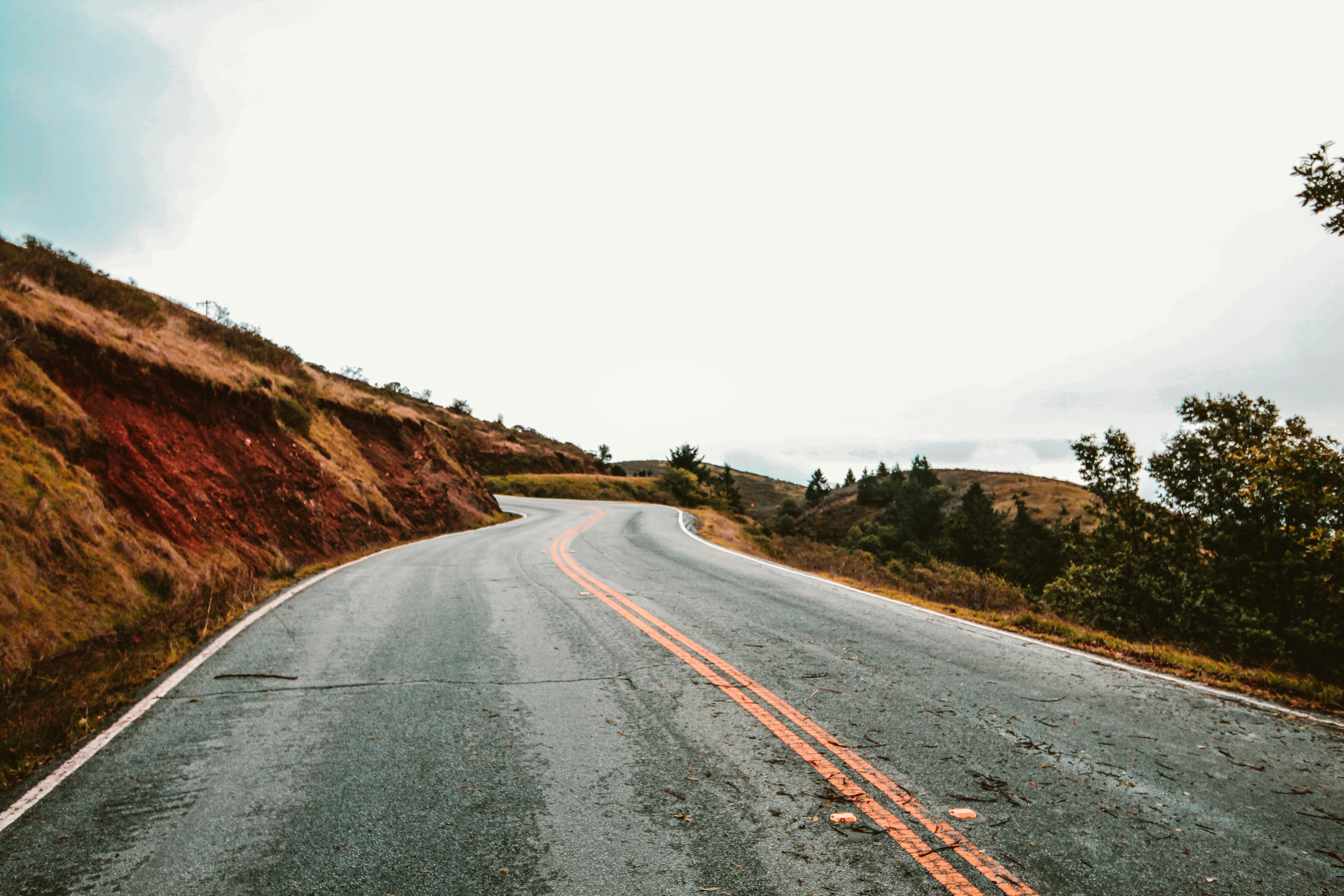 Free stock photo of path, road