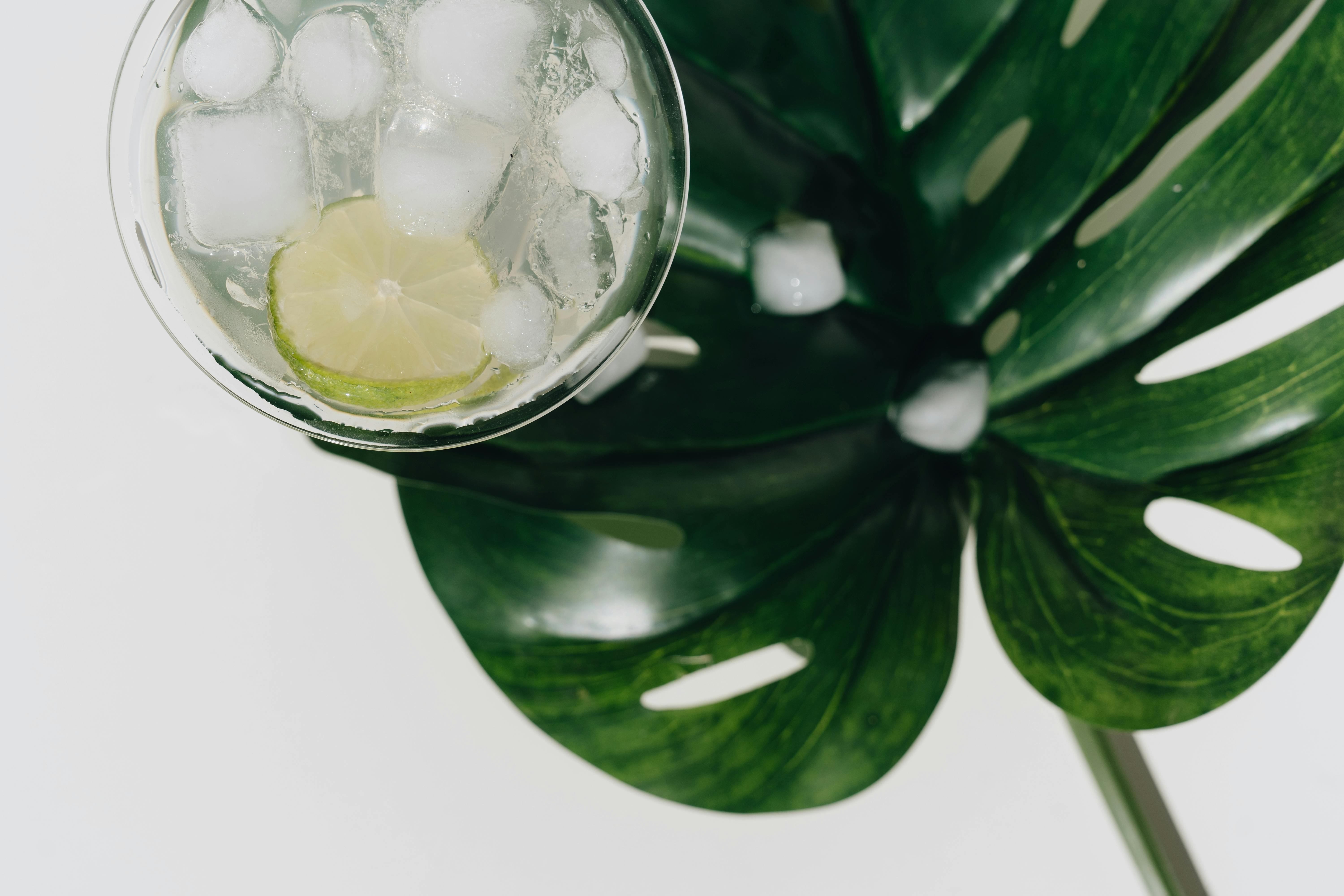 FUELED Wellness + Nutrition | Cinco de Mayo – zero-proof cocktails that still deliver — Photo by alleksana on Pexels