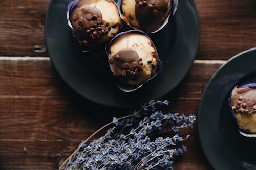 Free Photo Of Chocolate Muffin On Plate Stock Photo