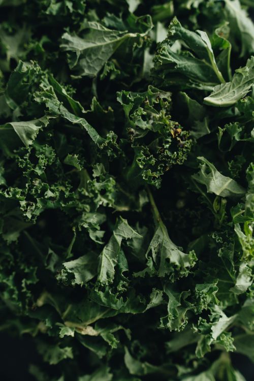 Free Close-up of fresh, green kale leaves, a nutrient-rich vegetable ideal for vegan and vegetarian dishes. Stock Photo