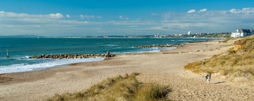 Gratis lagerfoto af strand