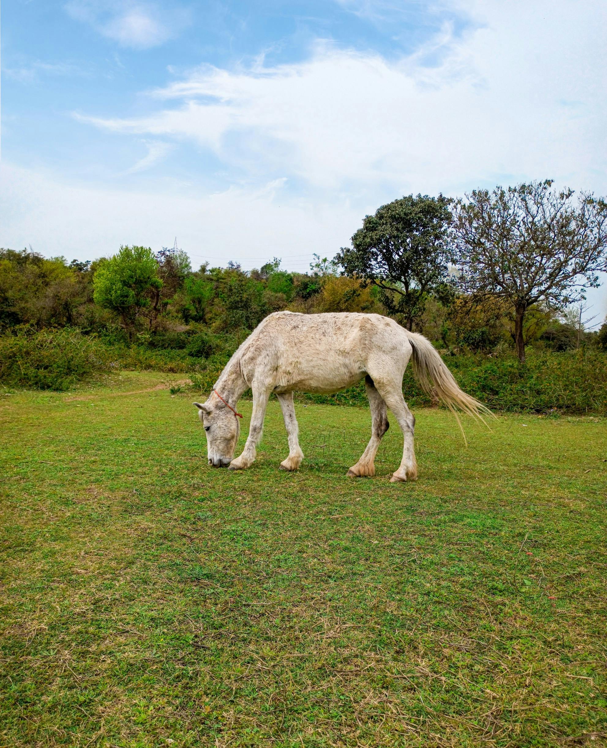 Person refusing a glass of wine at a social gathering