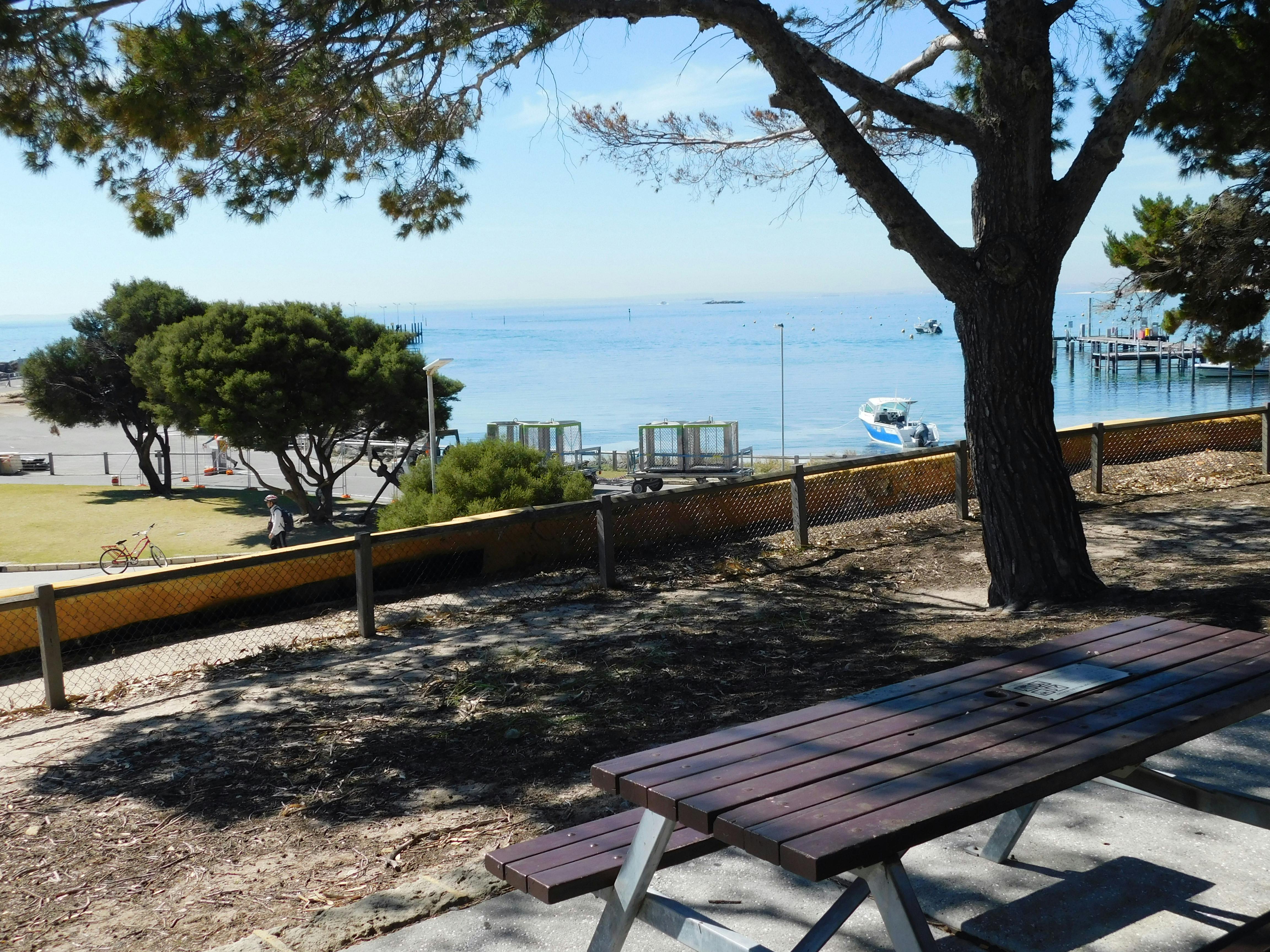 Kortizol ve Stres Yönetimi: Vücudunuzun Alarm Sistemini Anlamak ve Kontrol Altına Almak